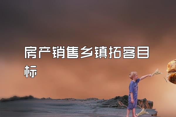 房产销售乡镇拓客目标