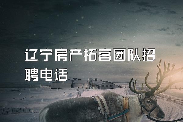 辽宁房产拓客团队招聘电话