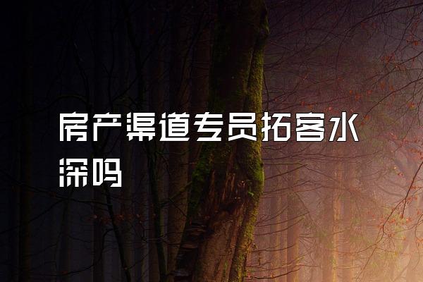 房产渠道专员拓客水深吗