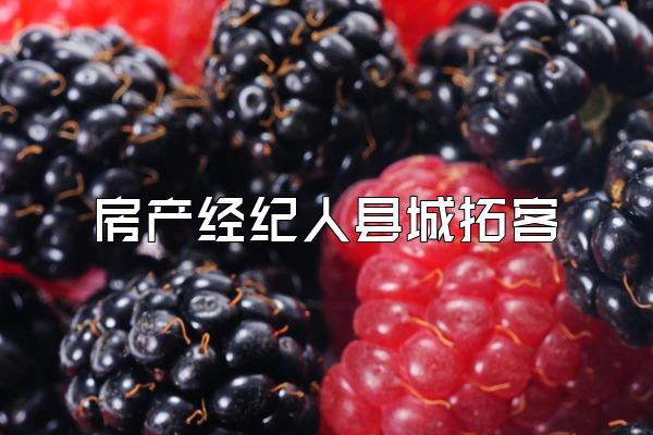 房产经纪人县城拓客