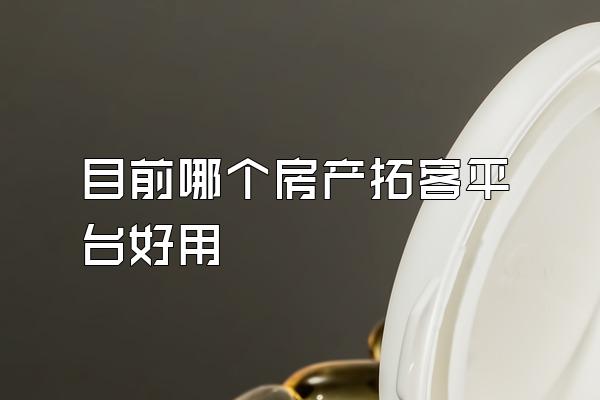 目前哪个房产拓客平台好用