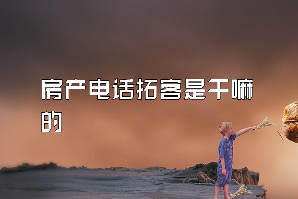 房产电话拓客是干嘛的