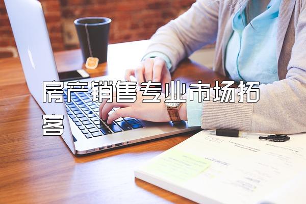 房产销售专业市场拓客