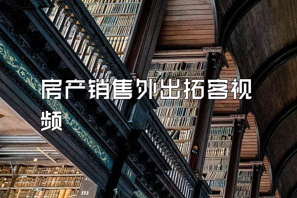 房产销售外出拓客视频