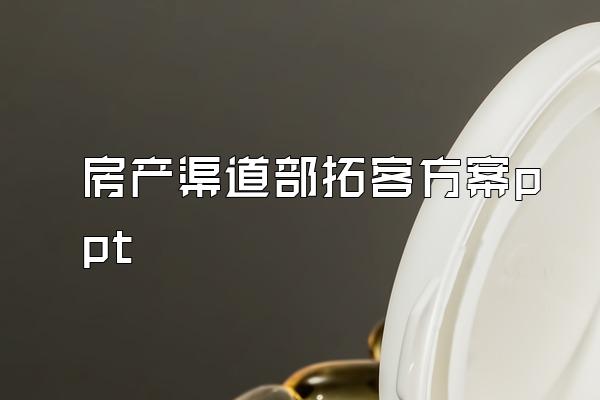房产渠道部拓客方案ppt