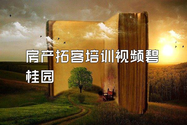 房产拓客培训视频碧桂园