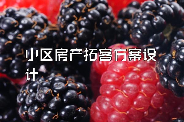 小区房产拓客方案设计