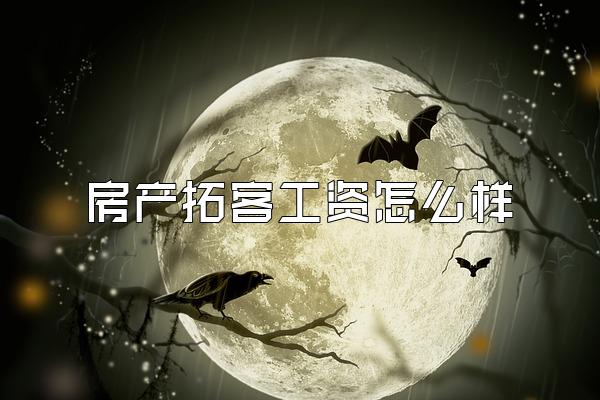房产拓客工资怎么样