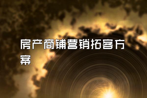 房产商铺营销拓客方案