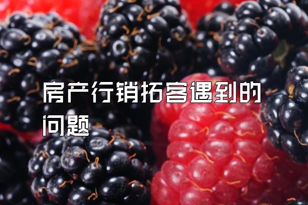 房产行销拓客遇到的问题