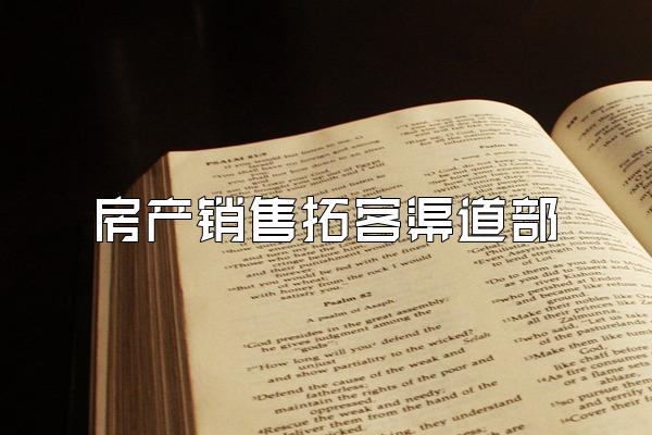 房产销售拓客渠道部