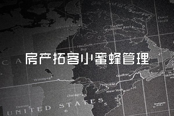 房产拓客小蜜蜂管理