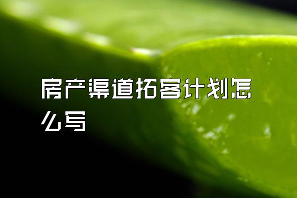 房产渠道拓客计划怎么写