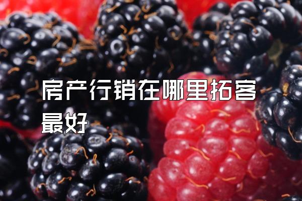 房产行销在哪里拓客最好