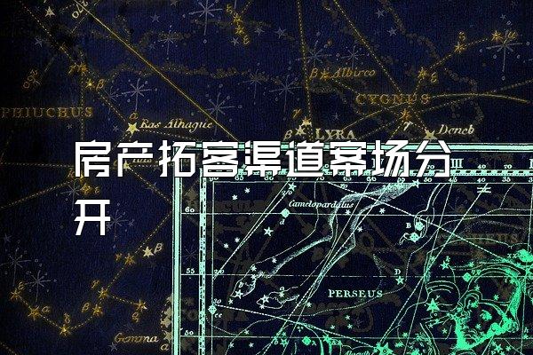 房产拓客渠道案场分开