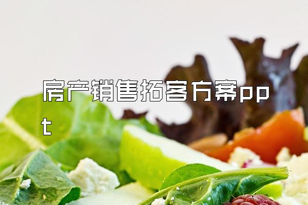 房产销售拓客方案ppt