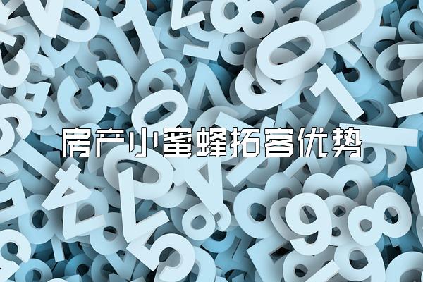房产小蜜蜂拓客优势