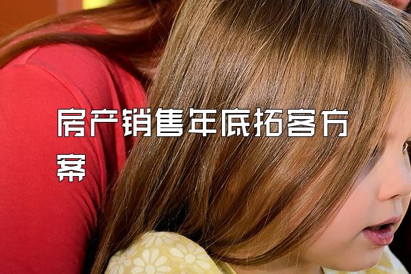房产销售年底拓客方案