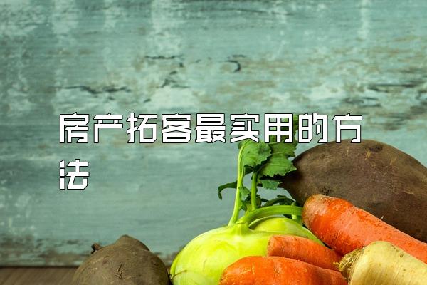 房产拓客最实用的方法