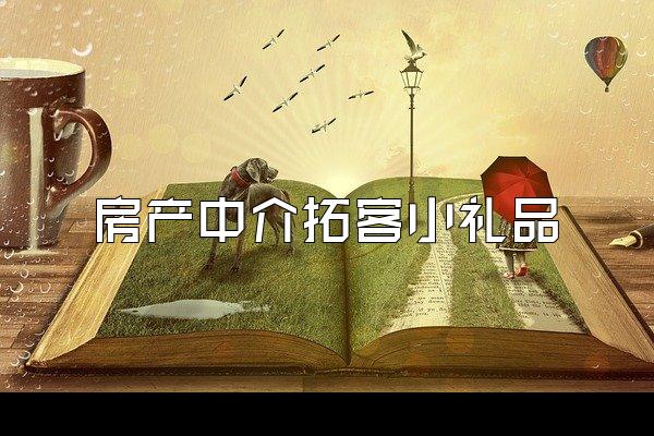 房产中介拓客小礼品