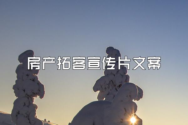 房产拓客宣传片文案