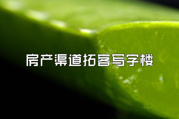 房产渠道拓客写字楼