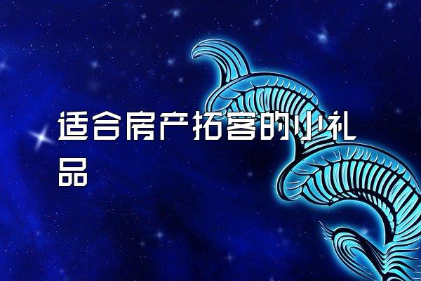 适合房产拓客的小礼品