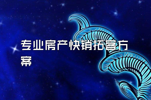 专业房产快销拓客方案