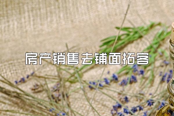 房产销售去铺面拓客