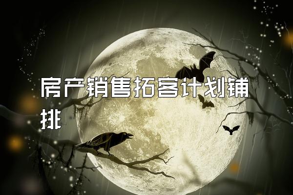房产销售拓客计划铺排
