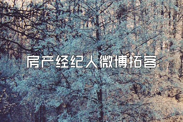 房产经纪人微博拓客