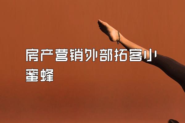 房产营销外部拓客小蜜蜂