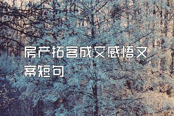 房产拓客成交感悟文案短句