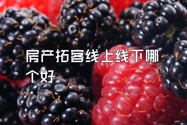房产拓客线上线下哪个好