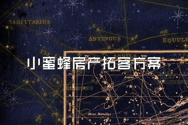 小蜜蜂房产拓客方案