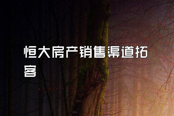 恒大房产销售渠道拓客