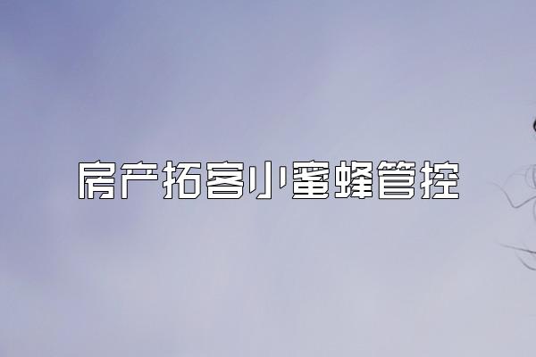 房产拓客小蜜蜂管控