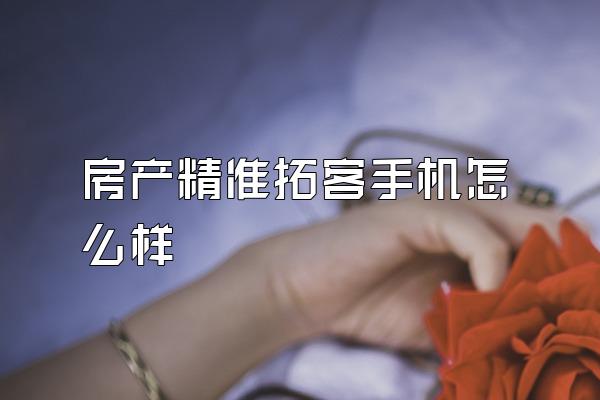 房产精准拓客手机怎么样