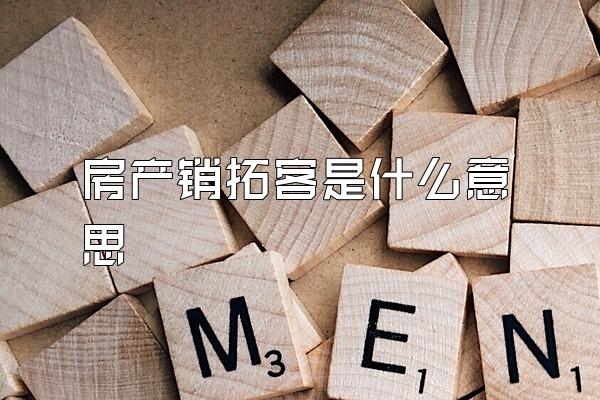 房产销拓客是什么意思